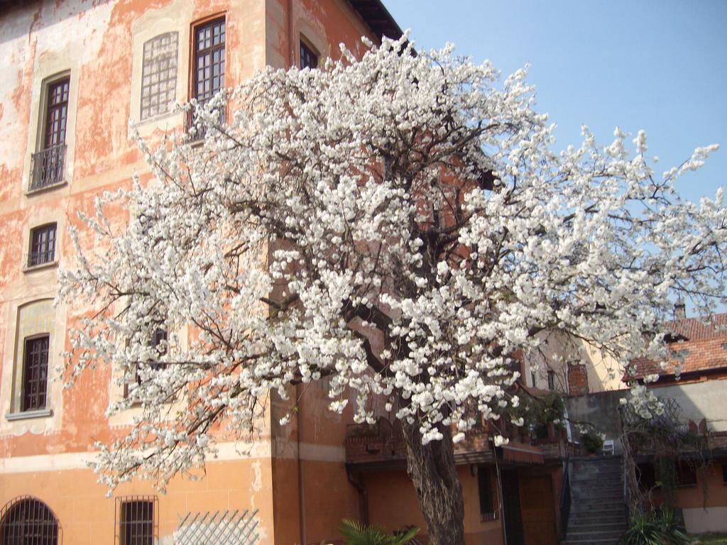 Il Castello Delle Meraviglie Fontaneto d'Agogna Exterior photo